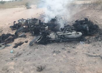 PICTORIAL: MNJTF Troops Neutralise 15 Terrorists In Borno