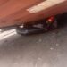 PICTORIAL: Couple Escapes Death As Container Falls On Stationary Car