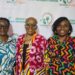 CADEF Unveils New Platform To Champion Ngeria’s Renewable Energy Future