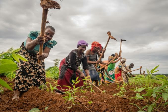 Why Youth, Women Should Engage In Sustainable Agriculture – Shield Africa 1 Women farmers