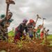 Why Youth, Women Should Engage In Sustainable Agriculture – Shield Africa 5 Why Youth, Women Should Engage In Sustainable Agriculture – Shield Africa
