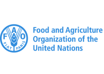 FAO Launches Dry Season Inputs Intervention To 50,000 Farmers In North-East