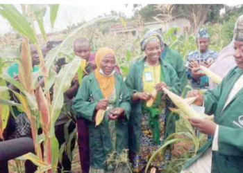 Food Security: 300 Kwara Schools Own Farms
