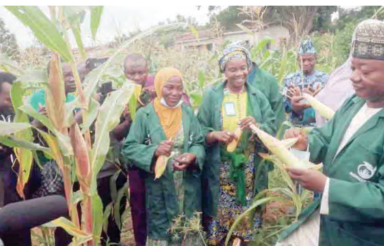 Food Security: 300 Kwara Schools Own Farms 1 farmer 750x481 1