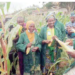 Food Security: 300 Kwara Schools Own Farms