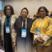 Tinubu Delivering Transformative Shift On Children’s Protection – Sulaiman-Ibrahim 5 Tinubu Delivering Transformative Shift On Children’s Protection – Sulaiman-Ibrahim
