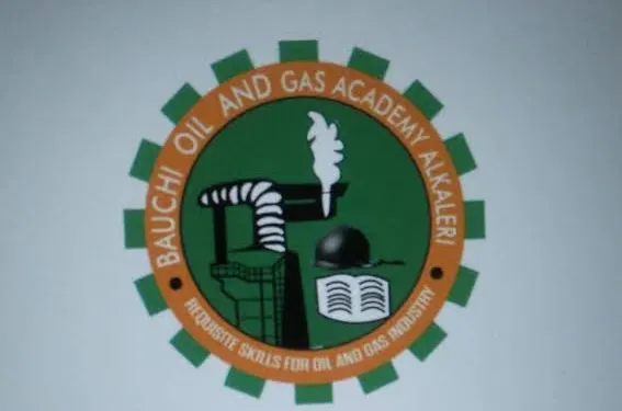 Bauchi Oil And Gas Academy To Empower Youths 1 images 7 4