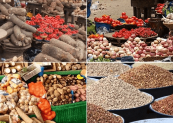 Senator Laments Rising Cost Of Food Items