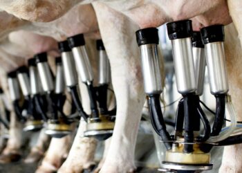 L-PRES Trains Bauchi Women Pastoralists On Milk Hygiene