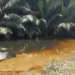 Oil Spill From Ruptured NNPCL Pipeline Devastates Rivers Communities 5 Oil Spill From Ruptured NNPCL Pipeline Devastates Rivers Communities