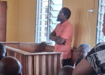 Court Grants Dele Farotimi ₦30m Bail