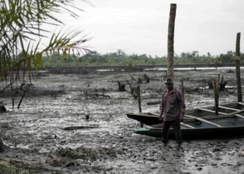Oil Spills, Industrial Pollution Destroying Ecosystems In Niger Delta – Don