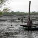 Oil Spills, Industrial Pollution Destroying Ecosystems In Niger Delta – Don 4 Oil Spills, Industrial Pollution Destroying Ecosystems In Niger Delta – Don
