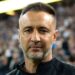 Struggling Wolves Appoint Pereira As New Head Coach 5 Struggling Wolves Appoint Pereira As New Head Coach