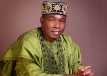 Adebayo Decries Falling Standards In Nigeria