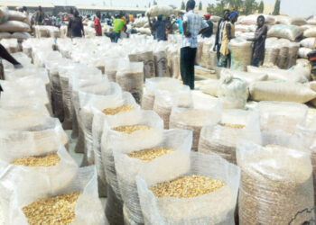 Don’t Sell Grains For Christmas Celebration, Bauchi CAN Warns Farmers