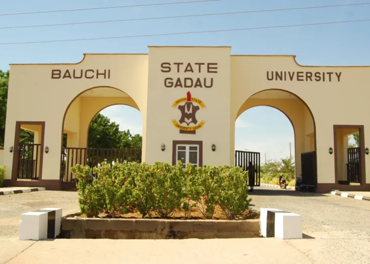 bauchi