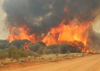 NSCDC Warns Against Indiscriminate Bush Burning