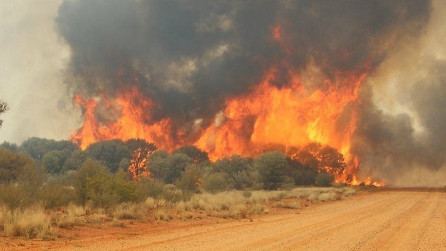 NSCDC Warns Against Indiscriminate Bush Burning 1 Bush Burning