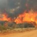NSCDC Warns Against Indiscriminate Bush Burning 5 NSCDC Warns Against Indiscriminate Bush Burning