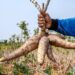 Agbeyewa Farms Hosts USAID, Unveils Blueprint To Transform Cassava Farming