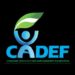 Stakeholders Push Policy Stability, Local Production, Inclusive Finance For Nigeria’s Energy Transition 5 CADEF Champions Nigeria’s Renewable Energy Future With DER Platform