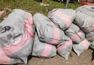 Yuletide: Customs Intercepts N107.2m Cannabis From Smugglers 1 Customs Intercepts N107.2m Cannabis From Smugglers