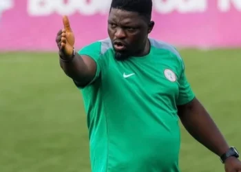 CHAN 2024Q: Ogunmodede Lists 18 Players For Home Eagles Vs Ghana