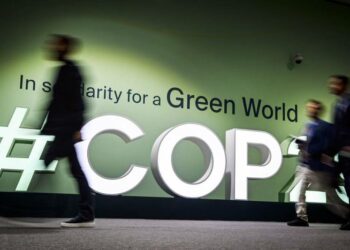 HOMEF, Other CSOs Criticise COP29 For Ignoring Key Challenges