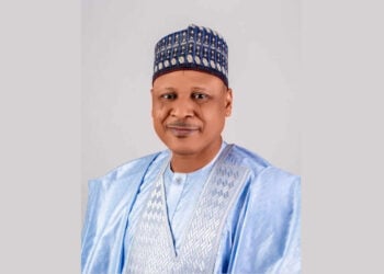 Development: Minister Urges Ilorin, Bida Emirates To Explore Cultural Ties