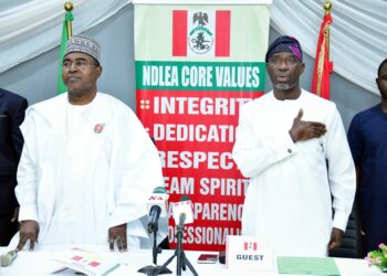 NDLEA Arrested 14,480 Suspects In 10 Months – Marwa