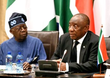 South Africa Seeks Nigeria’s Lithium For Electric Vehicle Production