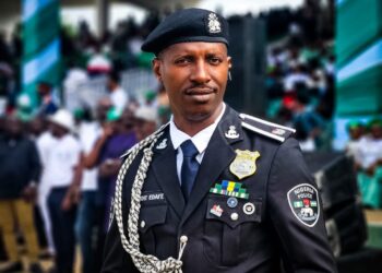 Nigerians’ Behaviour Is Reason We’re Not Like US Police, Says Delta PPRO 