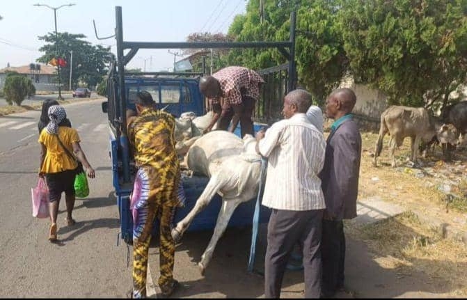 Herdsman Bags 5-yr Imprisonment For Open Grazing In Oyo 1 IMG 20241220 WA00271