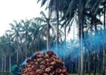 BNC Lauds Kyari Over Peace In NIFOR, Urges Security Operatives To Tackle Rumour Mongers