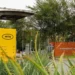 MTN, Airtel Drive Telecom Recovery As Mobile Subscriptions Hit 157.3m