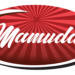 Vice President Kashim Shettima Inaugurates Mamuda Group’s New Factories: Advancing Nigerian Industry