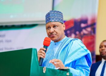 Minister Provides Electricity, Borehole, Renovates School In Niger