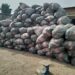 Agency Intercepts Cannabis On Zaria–Kano Road 5 NDLEA Intercepts 2 Boats With Illicit Drugs, Arrests 6 Ghanaians, Beninese