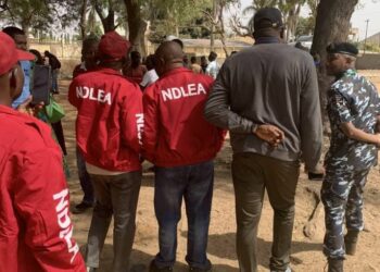 NDLEA Arrests 415 Suspects, Seizes 1.2 Tonnes Of Illicit Drugs In Bauchi