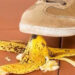 Domestic Accidents And How To Avoid Them