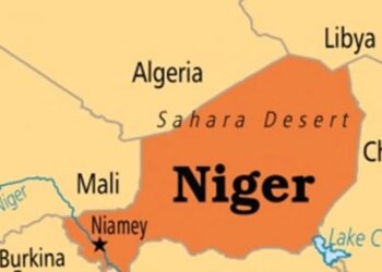 Lakurawa: Nigerian Gov’t Refutes Alleged Plans To Destabilise Niger Republic