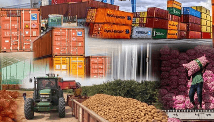 Nigeria Can Leverage Our Research To Boost Agric Export – Thailand Firm 1 Nigeria agricultural exports