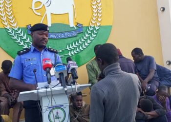 Katsina Police Arrest Fraudster With 14 Stolen ATM Cards