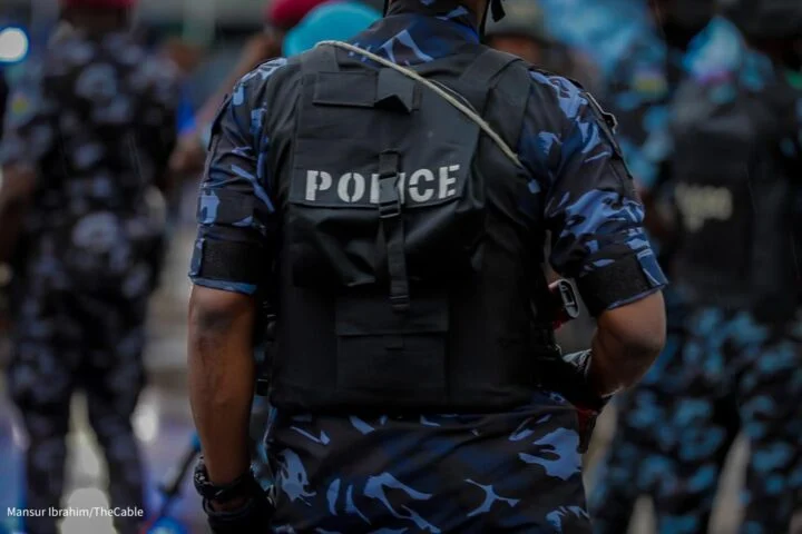 107 Criminals Arrested, 473 Weapons Drugs Recovered In Kano 1 Police NG e1687343797948
