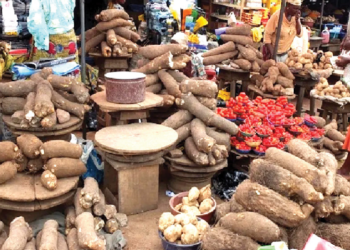 2024: Inflation, Forex Volatility Mar Growth Across Sectors