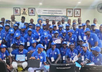 Adamawa Targets 500 Youths On Solar Power Training, Maintenance 