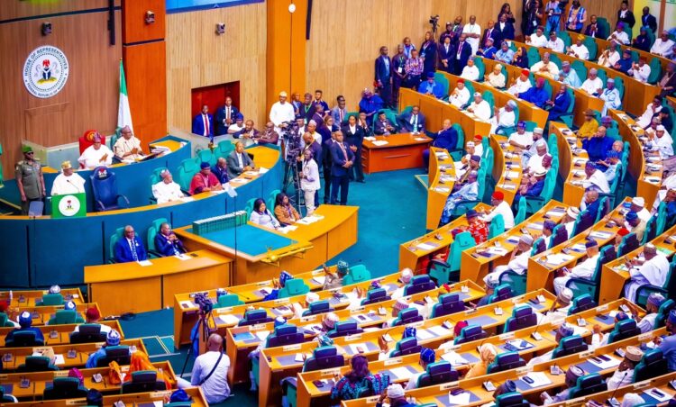 2025 budget