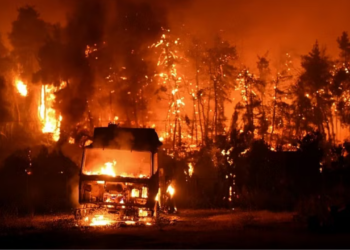 Australian Towns Urged To Evacuate Before Christmas As Bushfires Intensify
