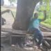 Customs Official Brutalises Civilians For Filming In Lagos ‘Smuggling Zone’ 5 Customs Official Brutalises Civilians For Filming In Lagos ‘Smuggling Zone’